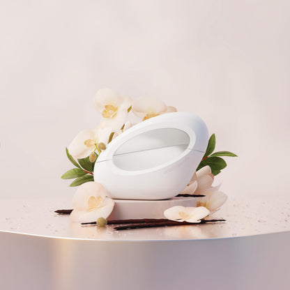 ARIANA GRANDE MOD VANILLA 100ML
