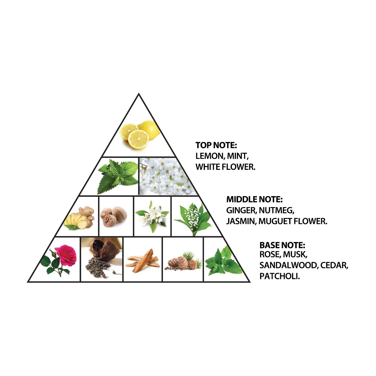 Colección Haramain Musk, 100ml, Eau De Parfum